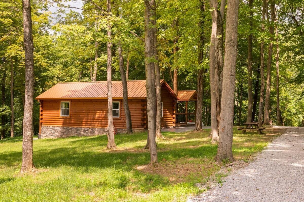 Secluded Wooded Cabin Near The Hocking Hills New Straitsville Buitenkant foto